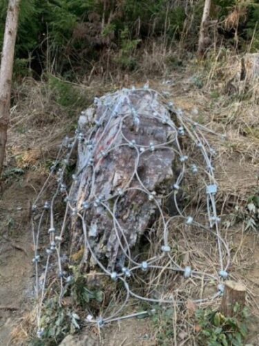 ワイヤーネット被覆工